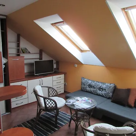 Sonja * ベオグラード