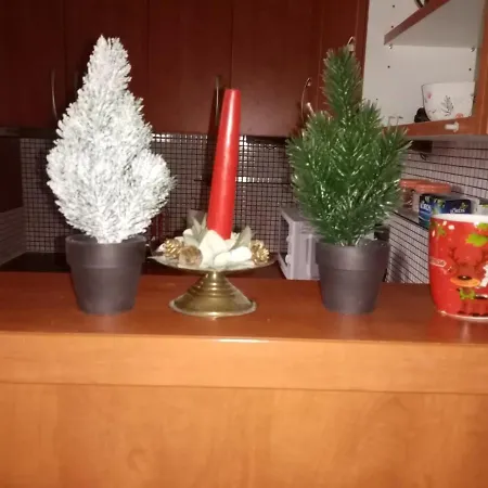 アパート Sonja ベオグラード